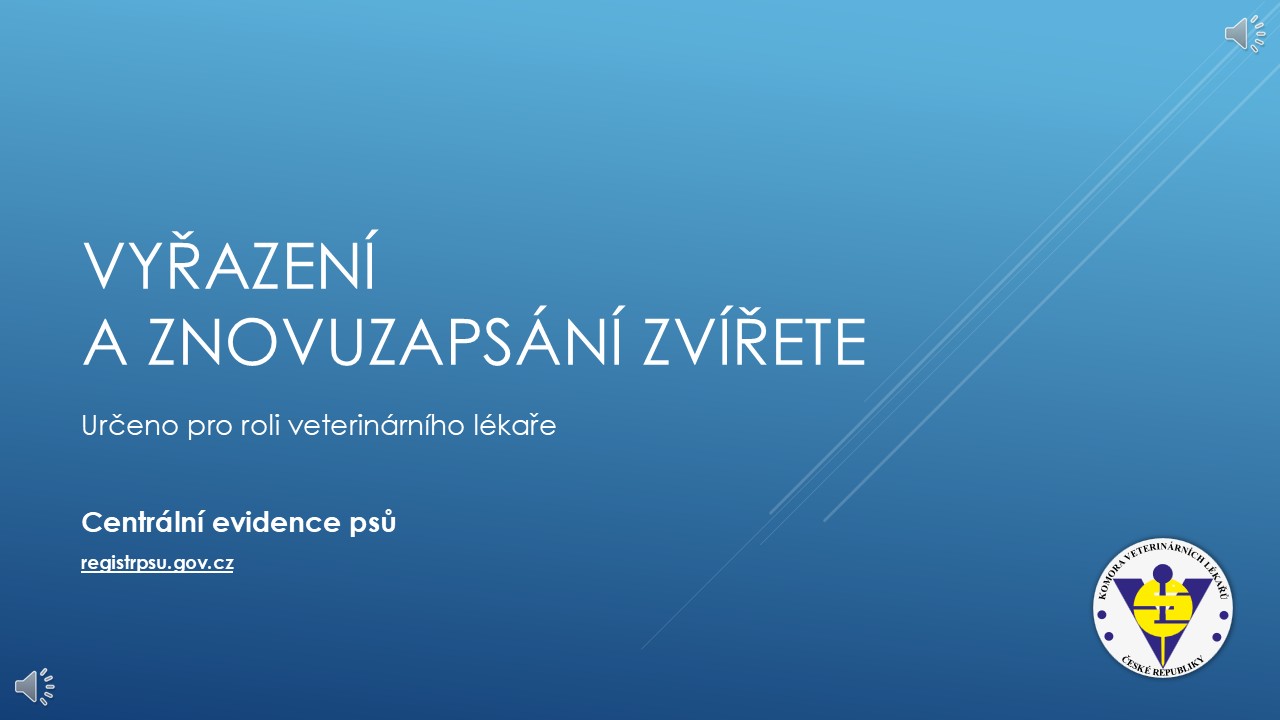 Ilustrační náhled videa